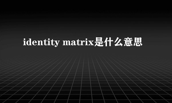 identity matrix是什么意思