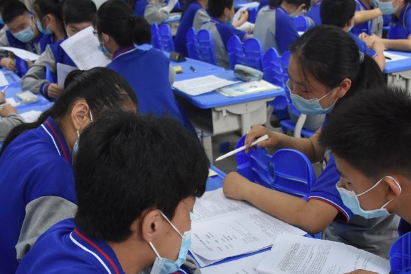 金风未动蝉先觉是什么意思