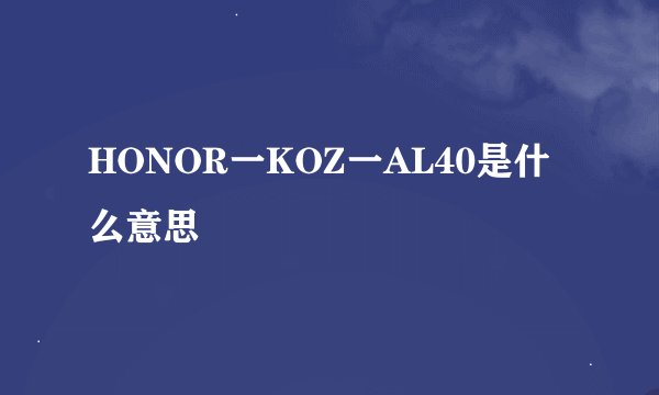 HONOR一KOZ一AL40是什么意思