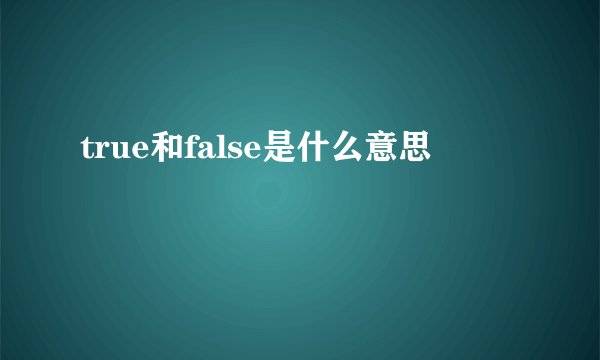 true和false是什么意思