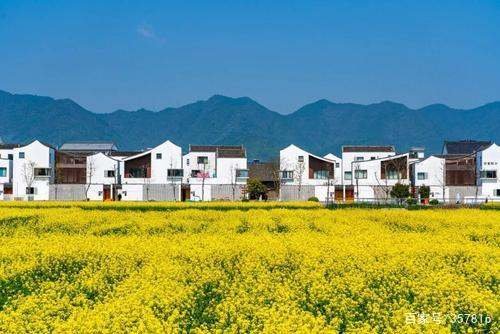 到2030年农村房子全部拆除吗