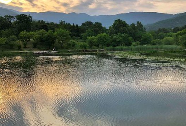 斜风细雨比喻什么生肖