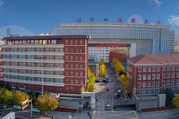 辽宁省招生办公室电话是多少？