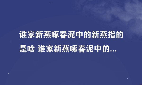 谁家新燕啄春泥中的新燕指的是啥 谁家新燕啄春泥中的新燕指的是什么