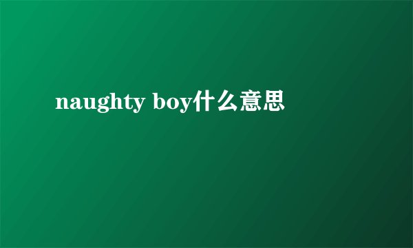 naughty boy什么意思