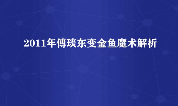 2011年傅琰东变金鱼魔术解析