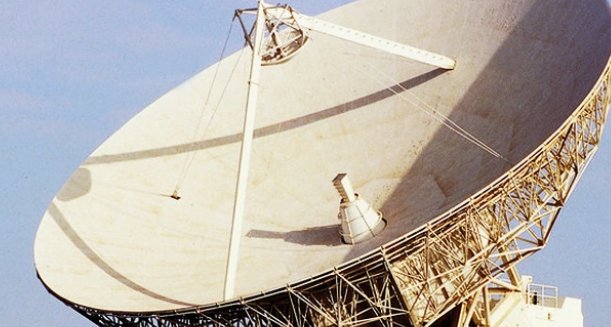 有没有蝙蝠和雷达的资料.(简短一些）