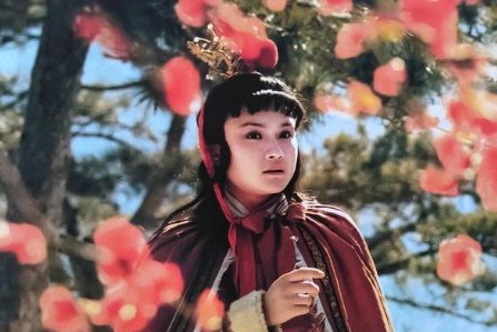 贾宝玉王熙凤大战的小说