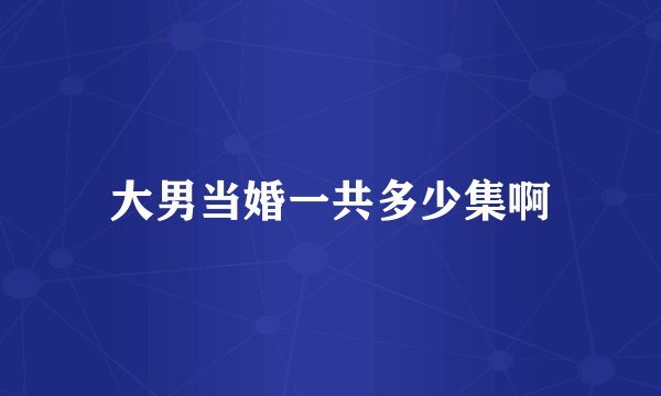 大男当婚一共多少集啊