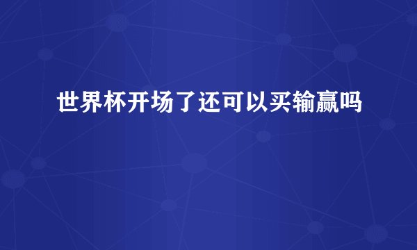 世界杯开场了还可以买输赢吗