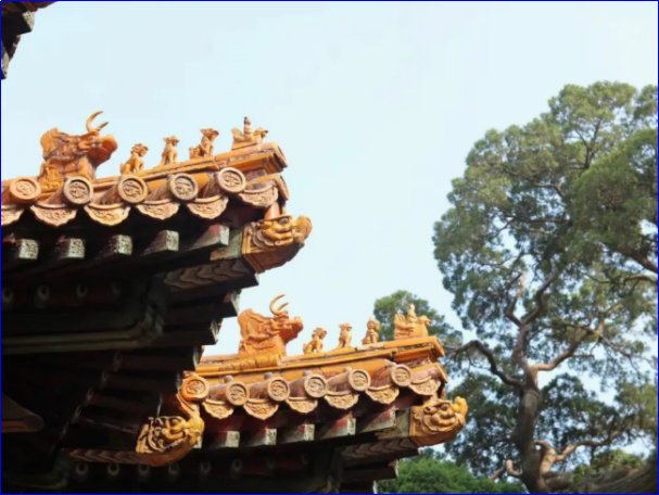 故宫会因为天气而闭馆吗?