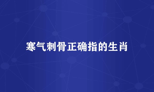 寒气刺骨正确指的生肖