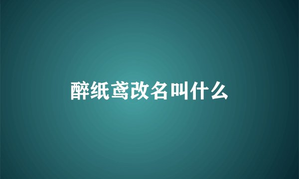 醉纸鸢改名叫什么