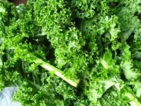 kale英语什么意思