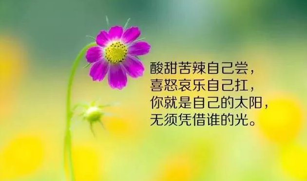 最短的美句发朋友圈