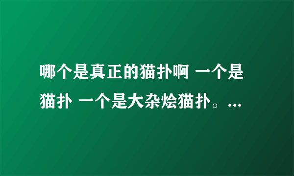哪个是真正的猫扑啊 一个是猫扑 一个是大杂烩猫扑。 到底哪个是真的。 网址是多少啊