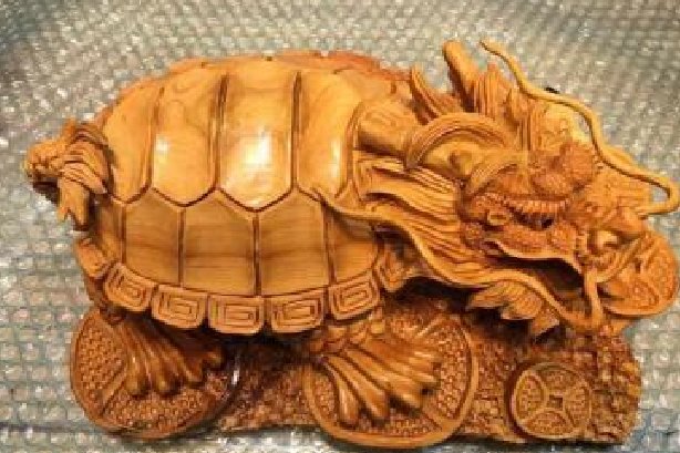 背上有乌龟壳似的一种龙叫什么龙