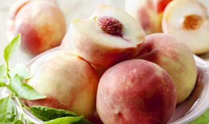 上坟时有三样东西不要上