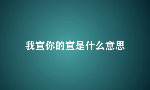 我宣你的宣是什么意思