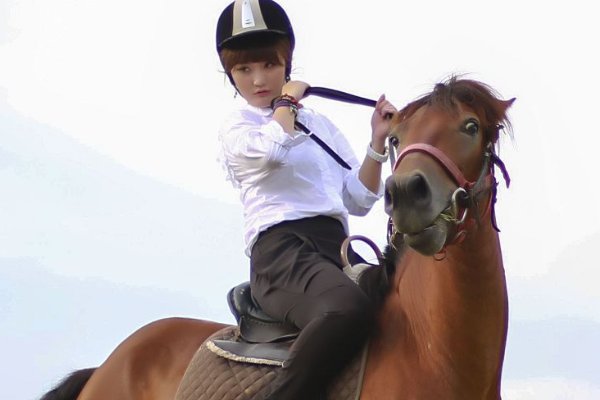 新月式与骑马式的区别