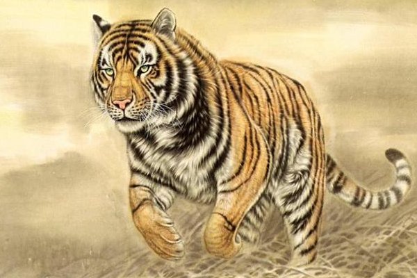 身强体壮三大生肖是什么