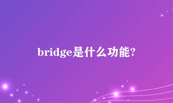 bridge是什么功能?