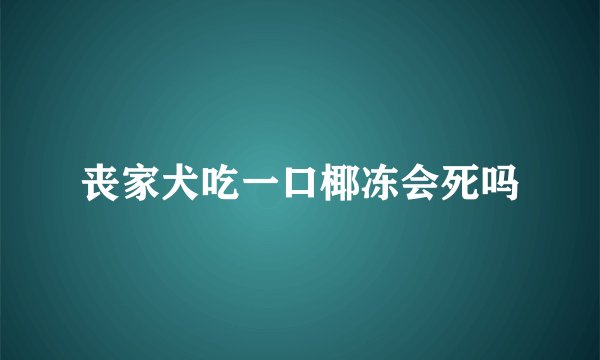 丧家犬吃一口椰冻会死吗