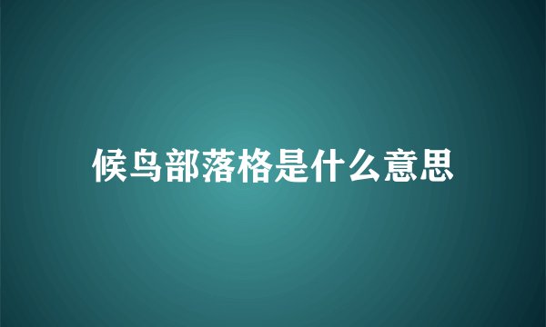 候鸟部落格是什么意思