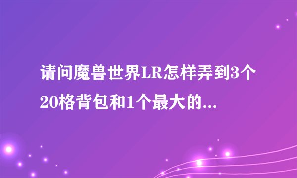请问魔兽世界LR怎样弄到3个20格背包和1个最大的箭袋？不在AH买的！
