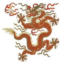 有影无踪是指什么动物