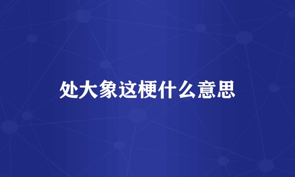 处大象这梗什么意思