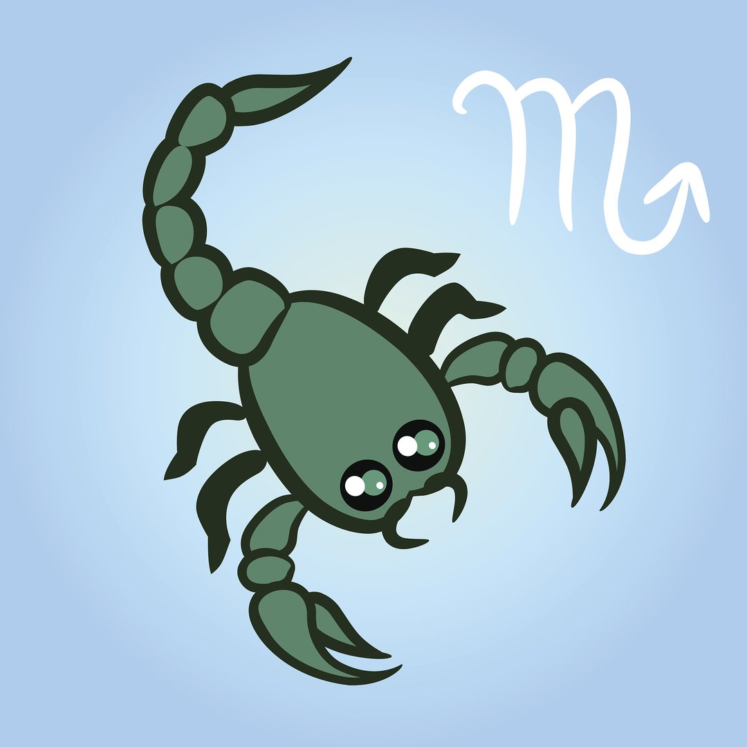 11.12是什么星座