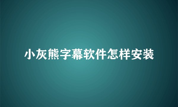 小灰熊字幕软件怎样安装
