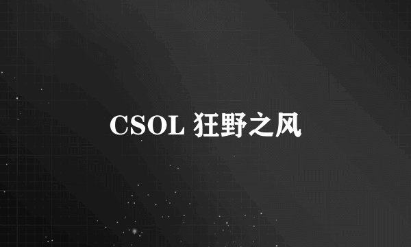 CSOL 狂野之风