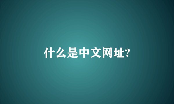 什么是中文网址?