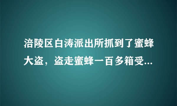涪陵区白涛派出所抓到了蜜蜂大盗，盗走蜜蜂一百多箱受害人达一百户请