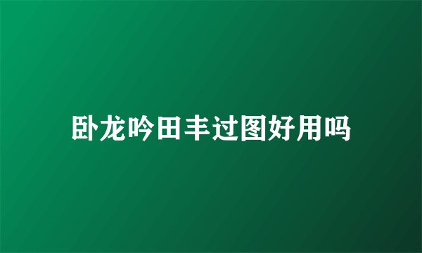 卧龙吟田丰过图好用吗
