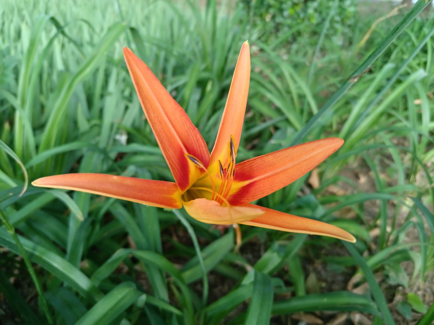 枪匹马前面一个字是什么？