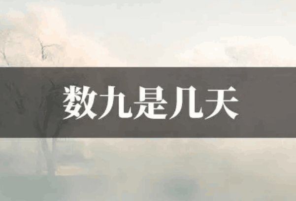 目前是几九天了