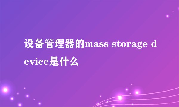设备管理器的mass storage device是什么