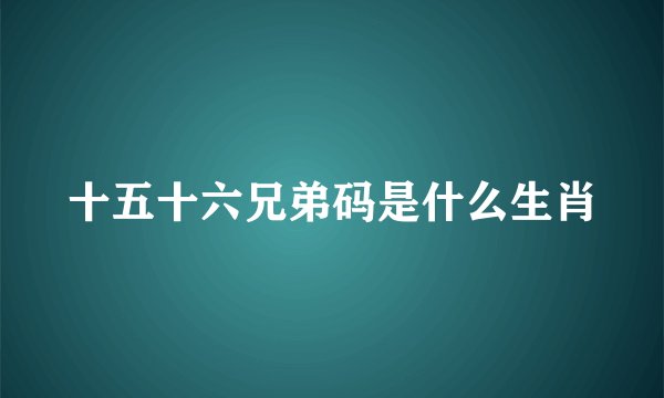 十五十六兄弟码是什么生肖