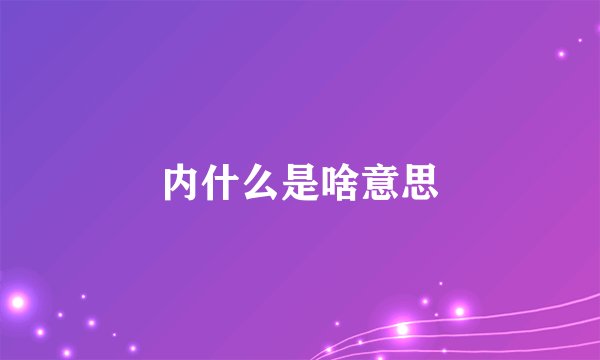 内什么是啥意思