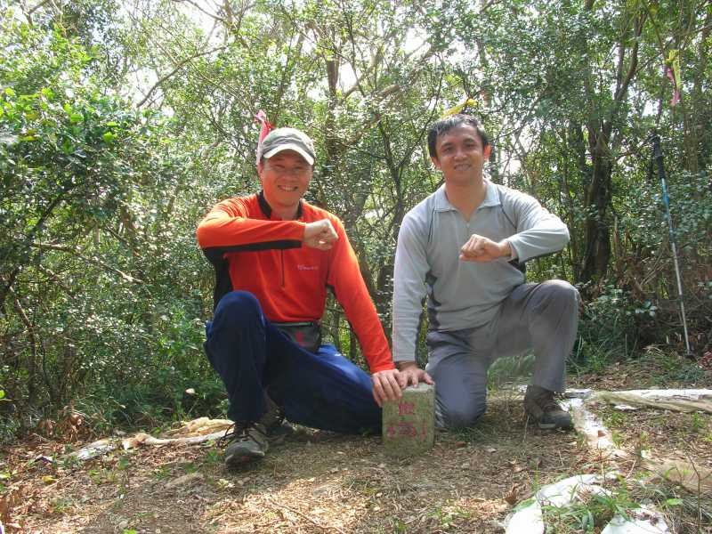 本桥麻里的人物基本信息