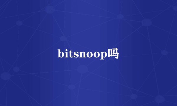 bitsnoop吗