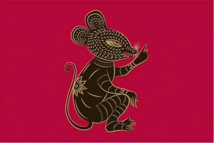 头撞南墙打一准确动物