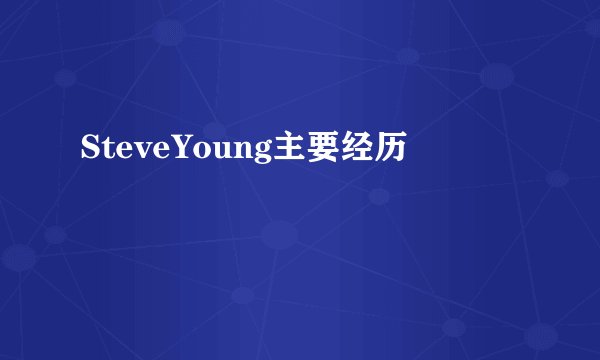 SteveYoung主要经历