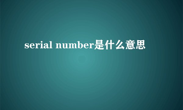 serial number是什么意思