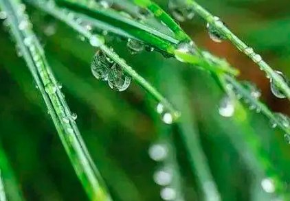 2022年白露几点几分几秒