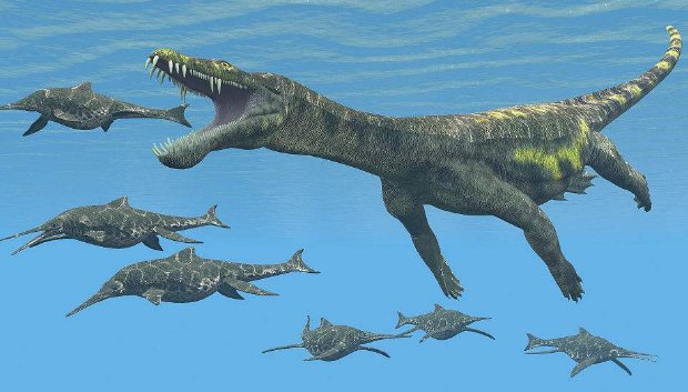 幻龙是什么玩具