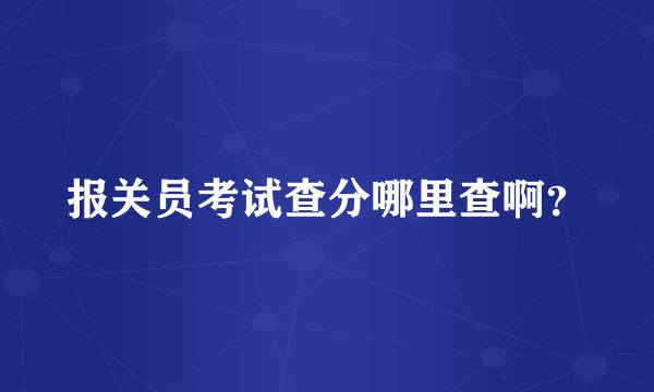 报关员考试查分哪里查啊？